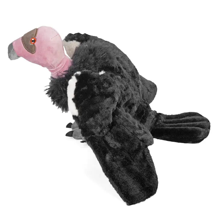 Ecoo California Condor