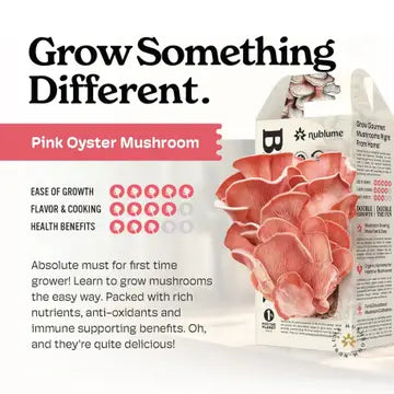Mushroom Grow Kit Pink Oyster