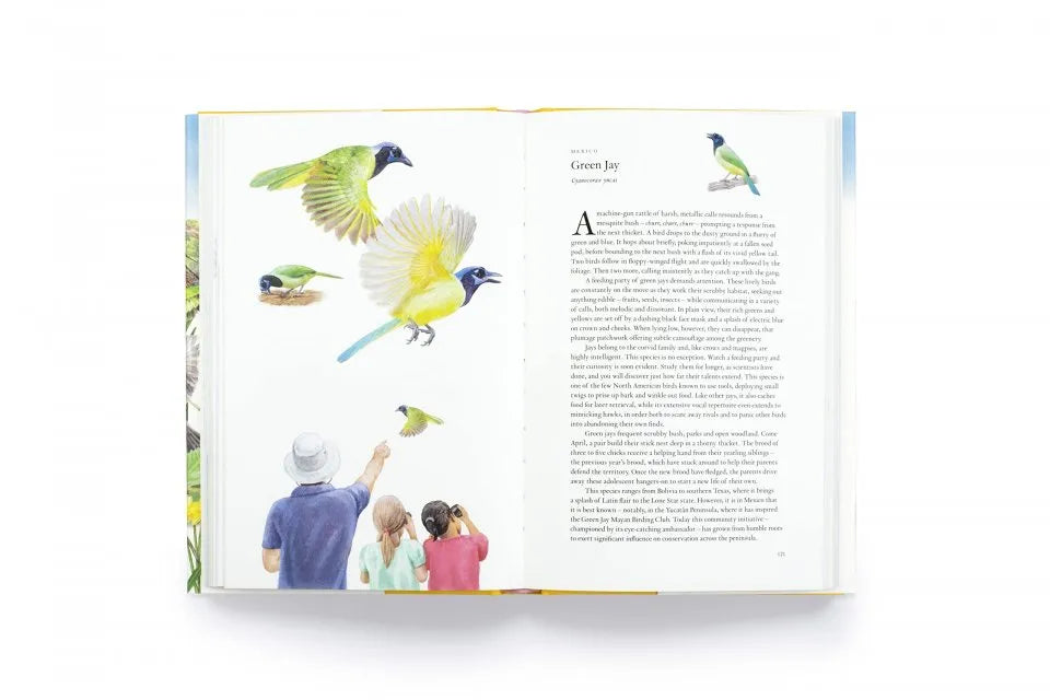 Around the World in 80 Birds Book