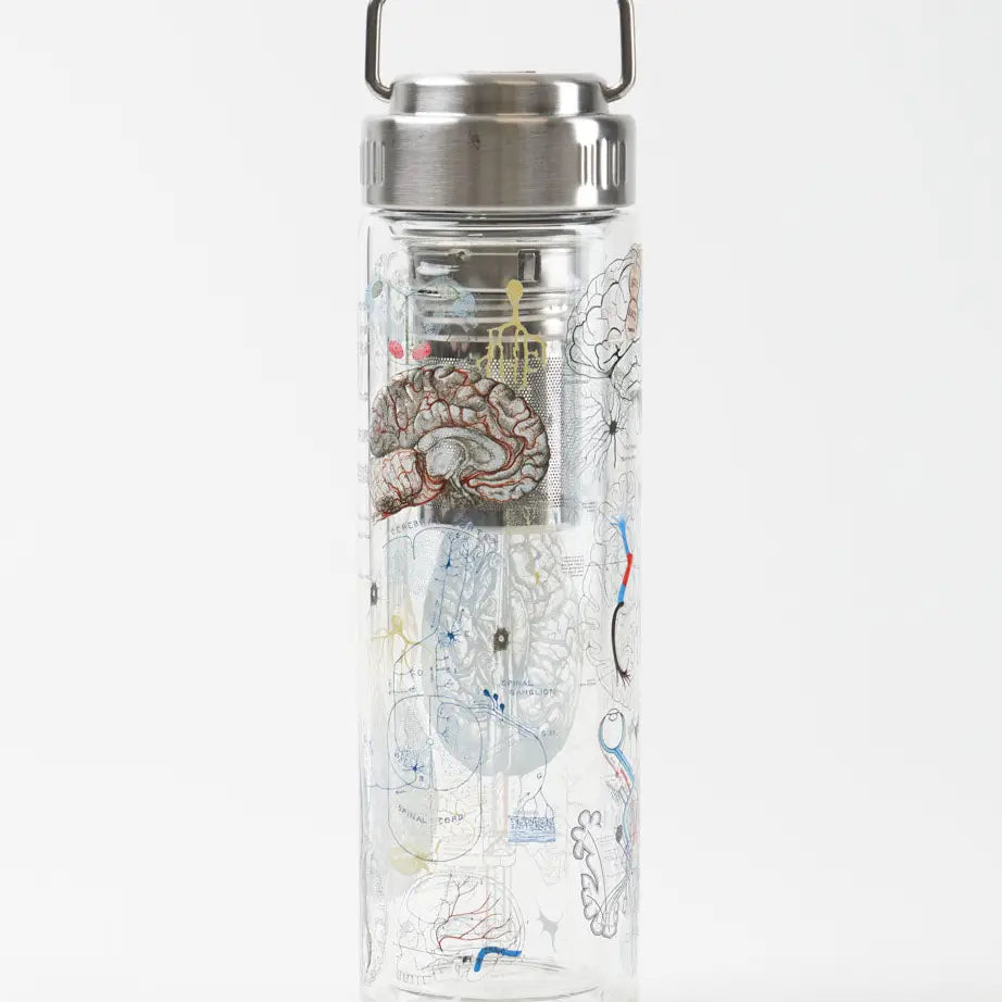 Brainstorm Glass Tea Infuser Flask