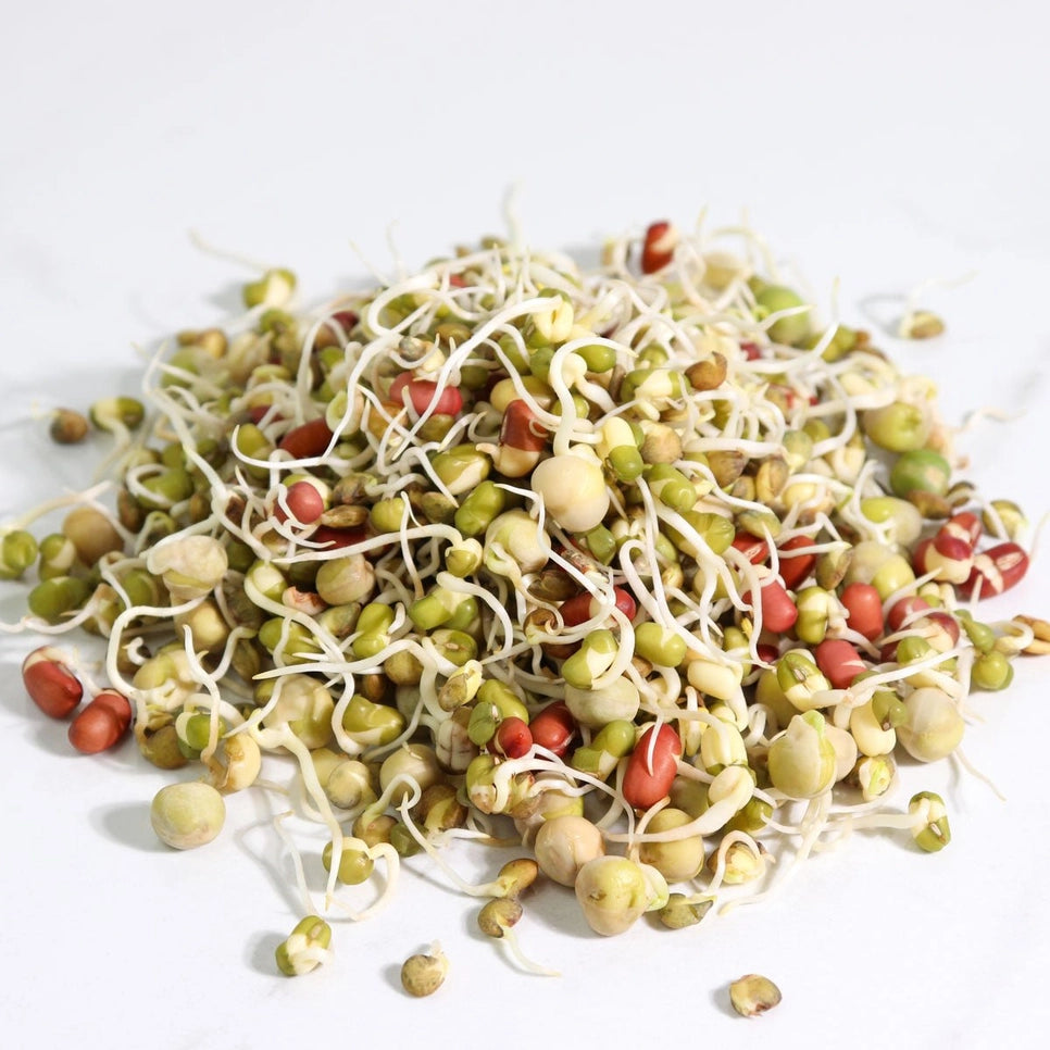 Organic Crunch Time Sprouting Seeds 4oz