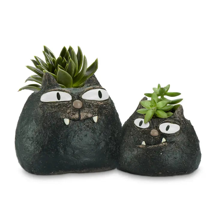 cat planter with succulent Spooky & Fang Cat Planter – Weeds