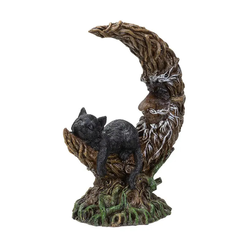 Black Cat Sleeping on Moon