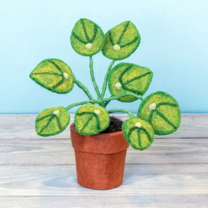 Felted Wool Money Plant