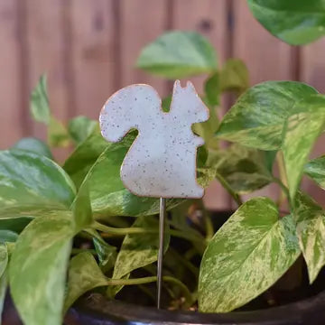 Plant Buddy - Squirrel