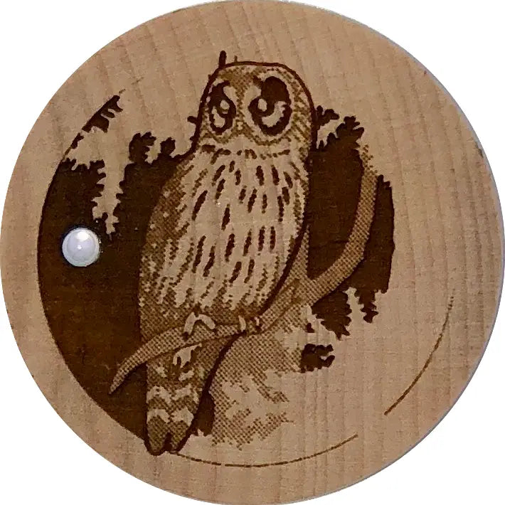 Owl Wooden Dreambox