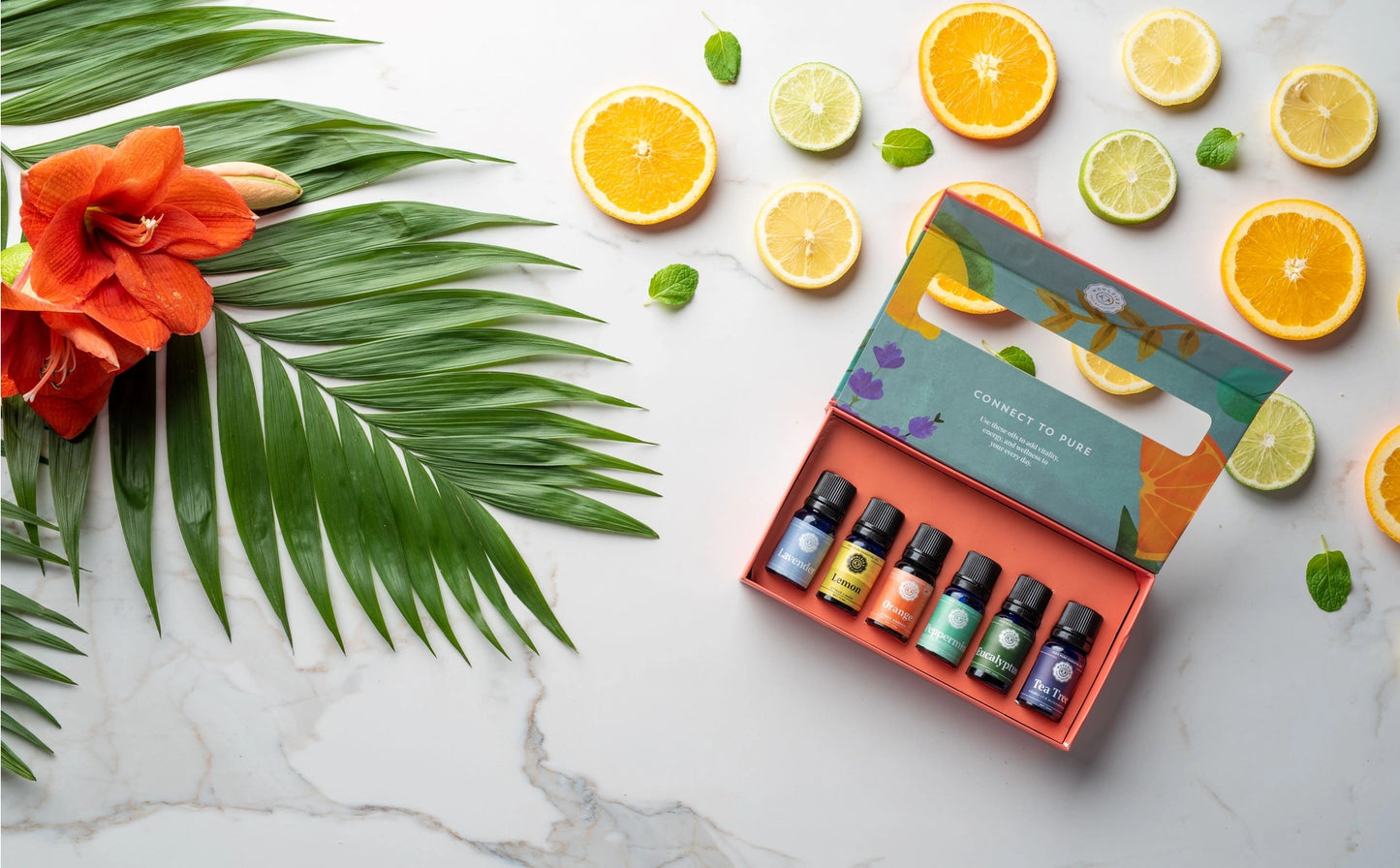 The Favorite Essential Oil Set