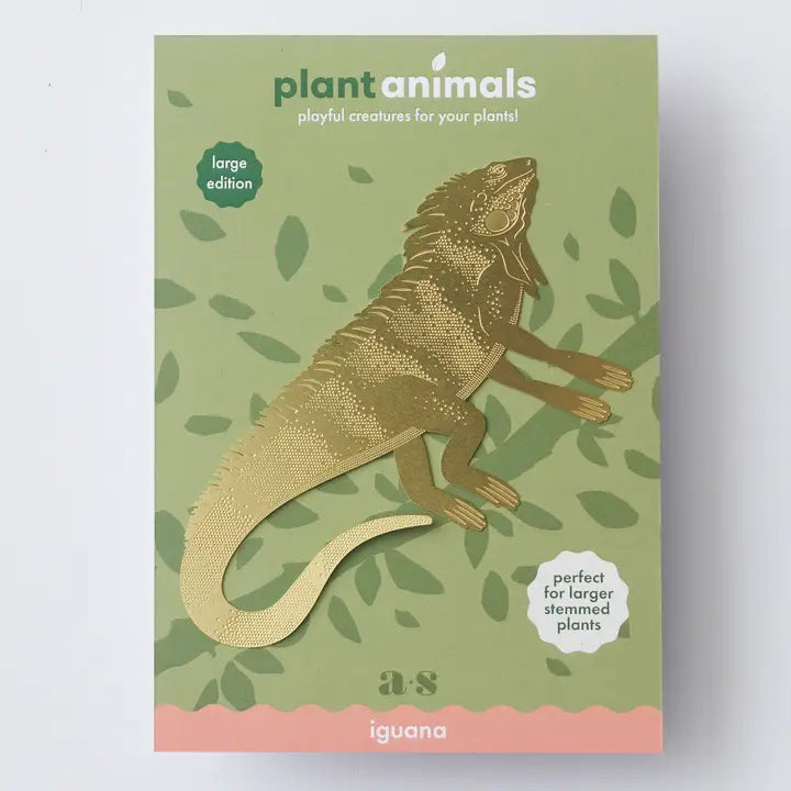 Plant Decoration Iguana