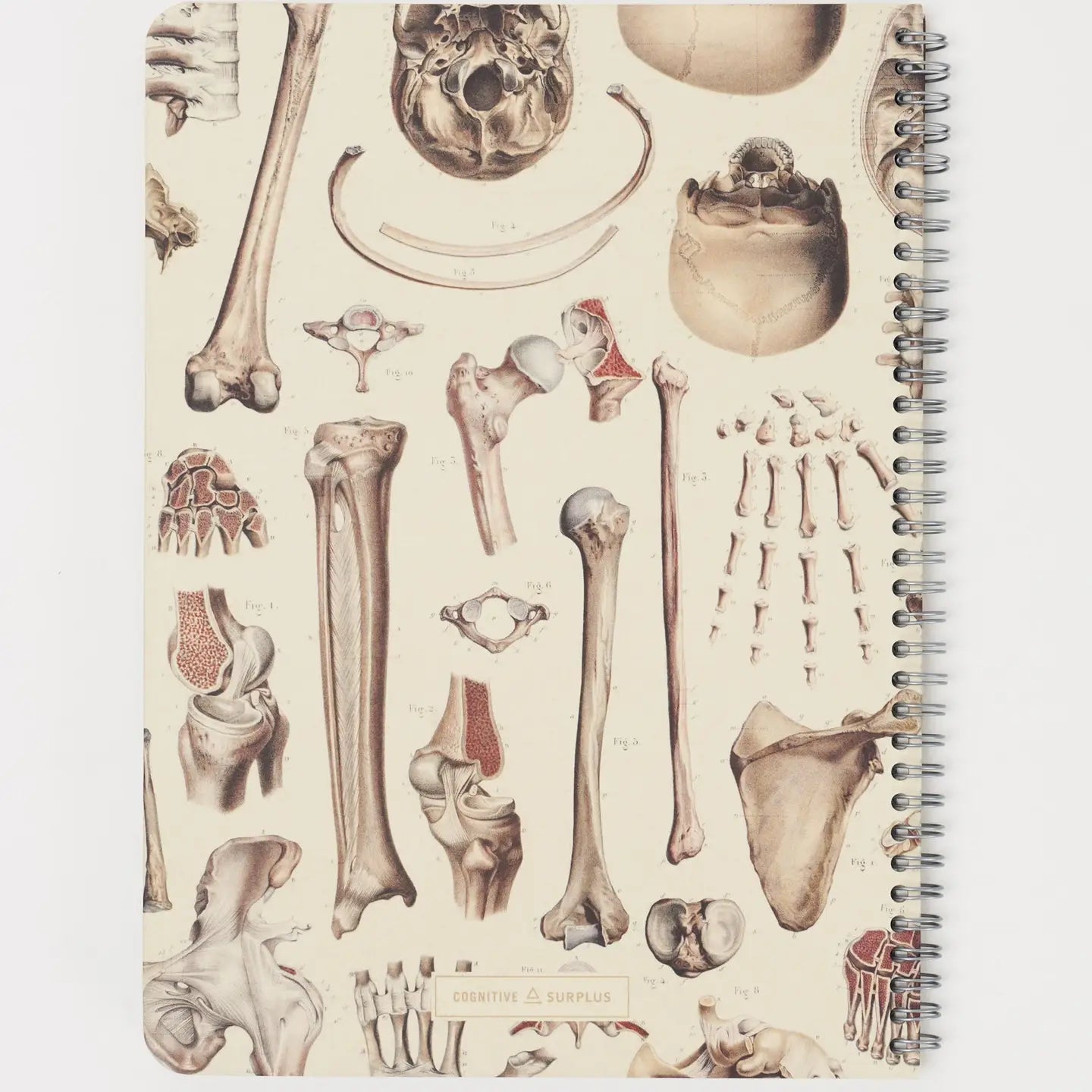 Skeleton Spiral Notebook