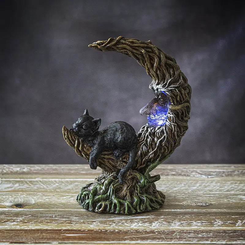 Black Cat Sleeping on Moon
