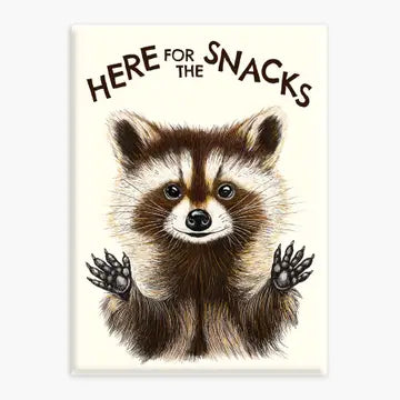 Raccoon Snacks Magnet