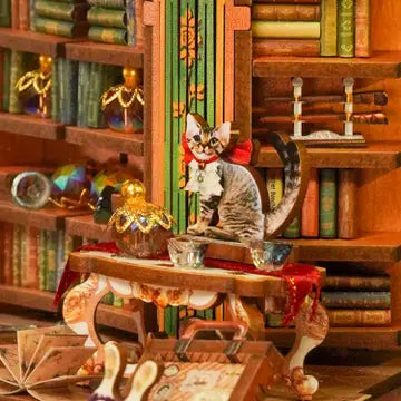 DIY Book Nook Kit: Magical Library with Dust Cover