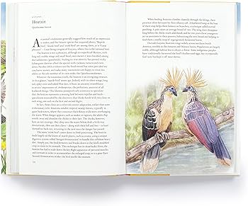 Around the World in 80 Birds Book