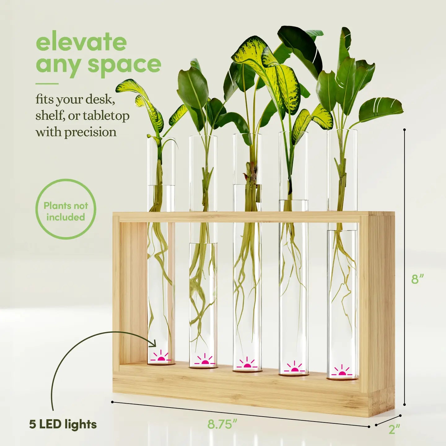 Light Up Bamboo Vial Air Planter