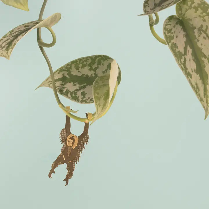Plant Decoration - Orangutan