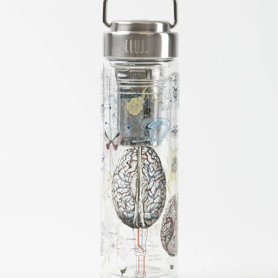 Brainstorm Glass Tea Infuser Flask