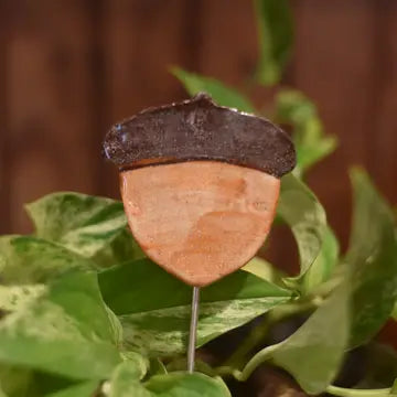 Plant Buddy - Acorn