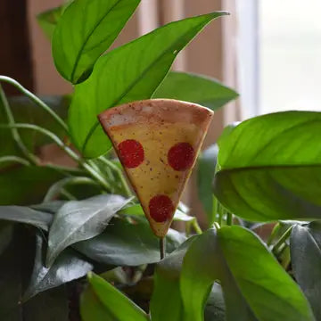 Plant Buddy - Pizza