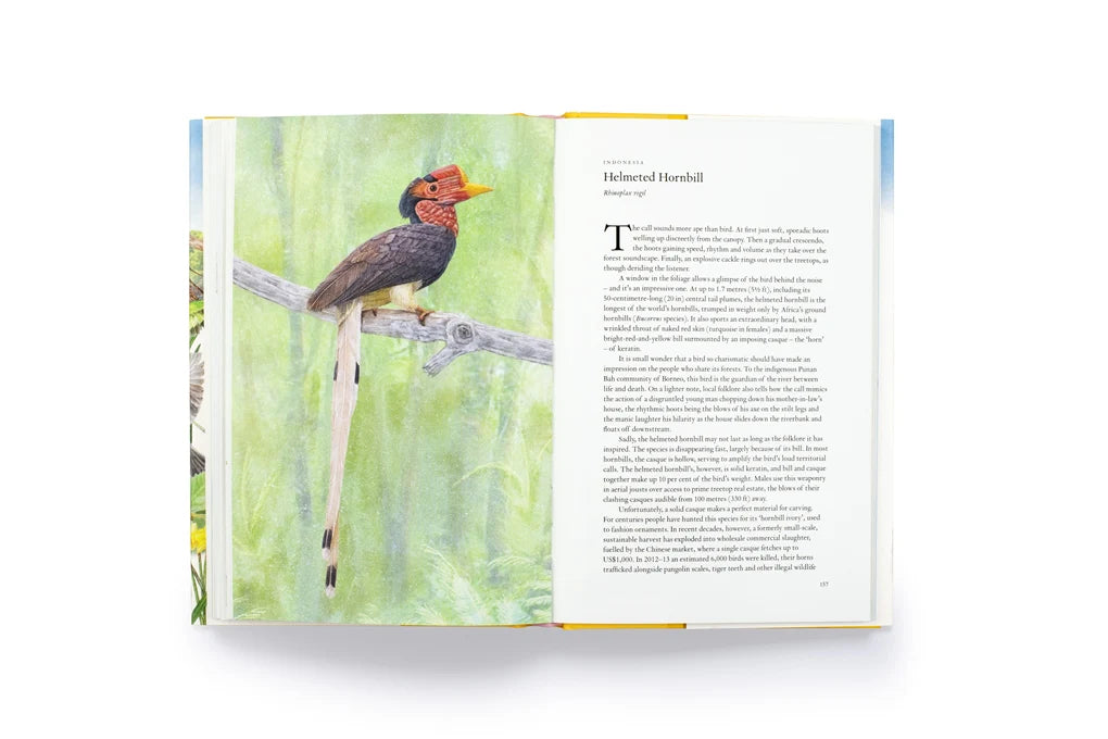 Around the World in 80 Birds Book