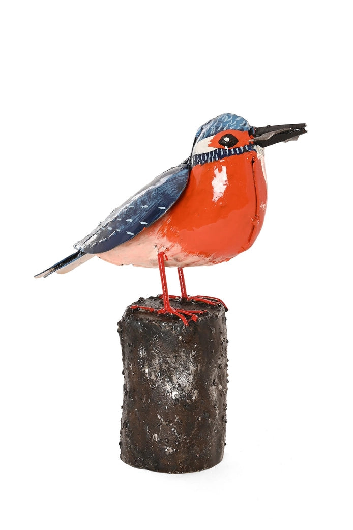 Recycled Metal Victorious Kingfisher