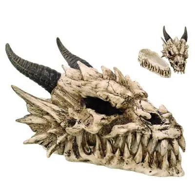Dragon Skull Box