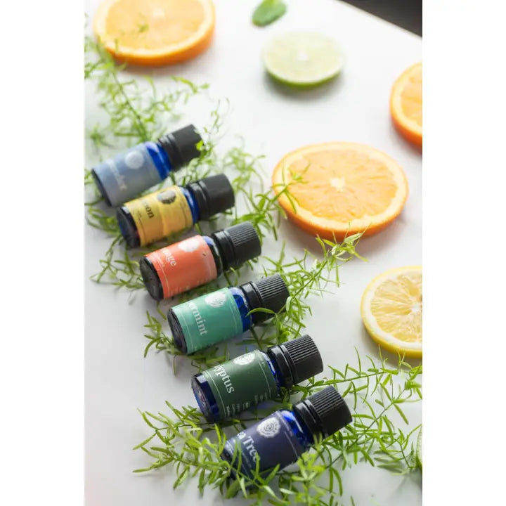 The Favorite Essential Oil Set