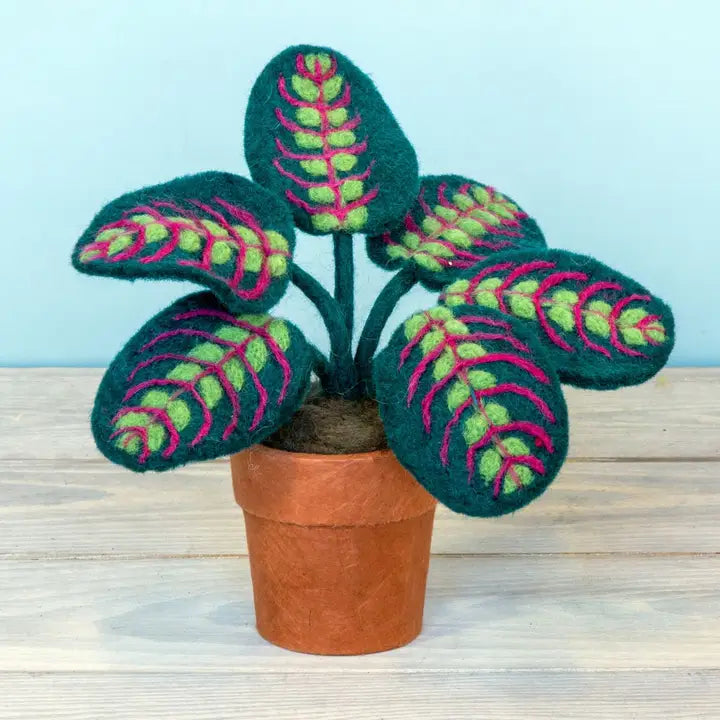 Felted Wool Prayer Plant