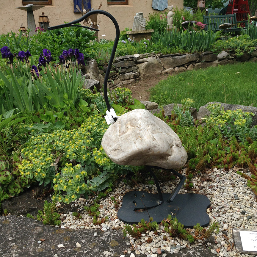 Rock Duck - Parent