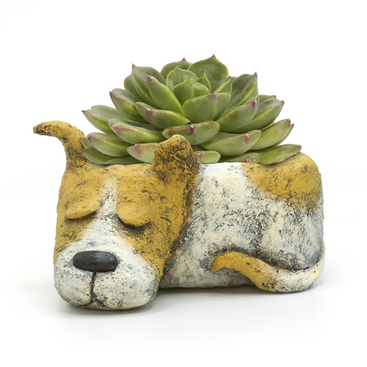 Mini Luna Sleeping Dog Planter
