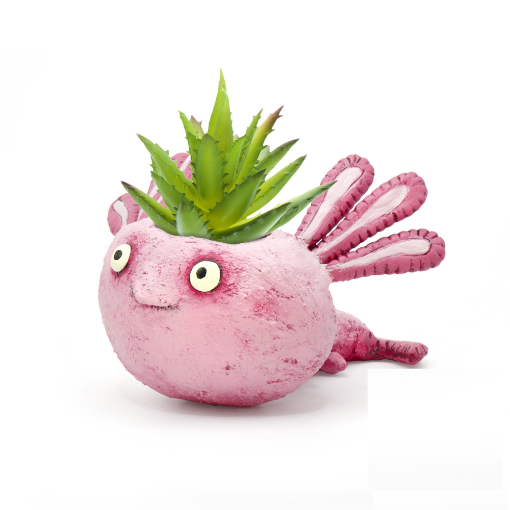 Alexander Baby Salamander Planter