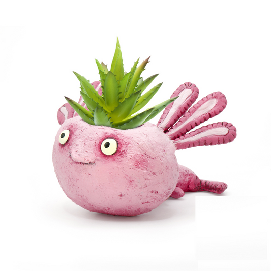Alexander Baby Salamander Planter