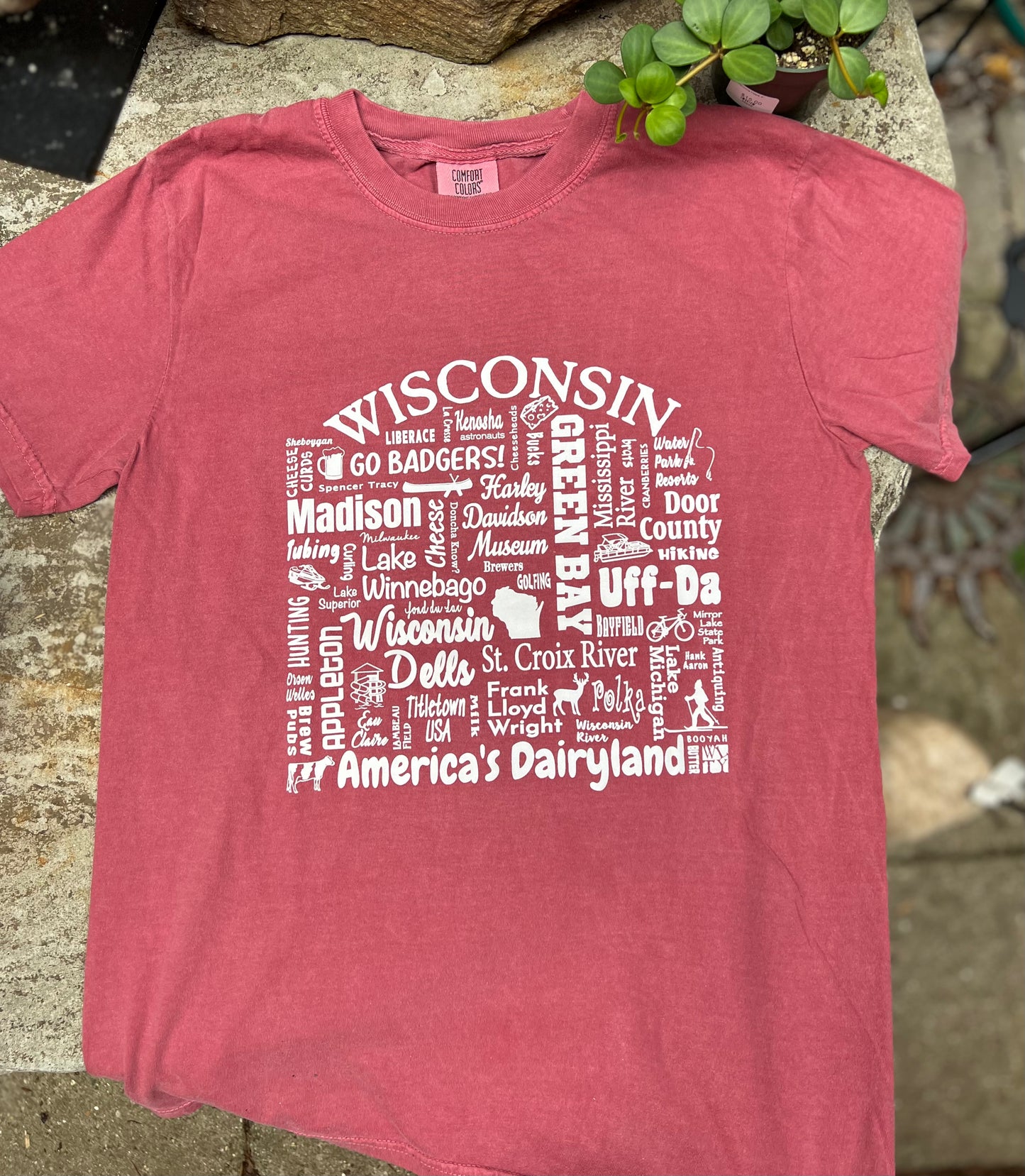 Wisconsin Words T-Shirt