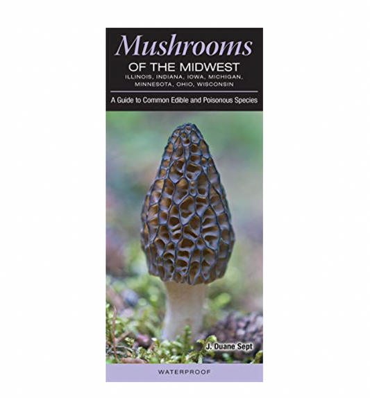 Mushrooms of the Midwest Guide