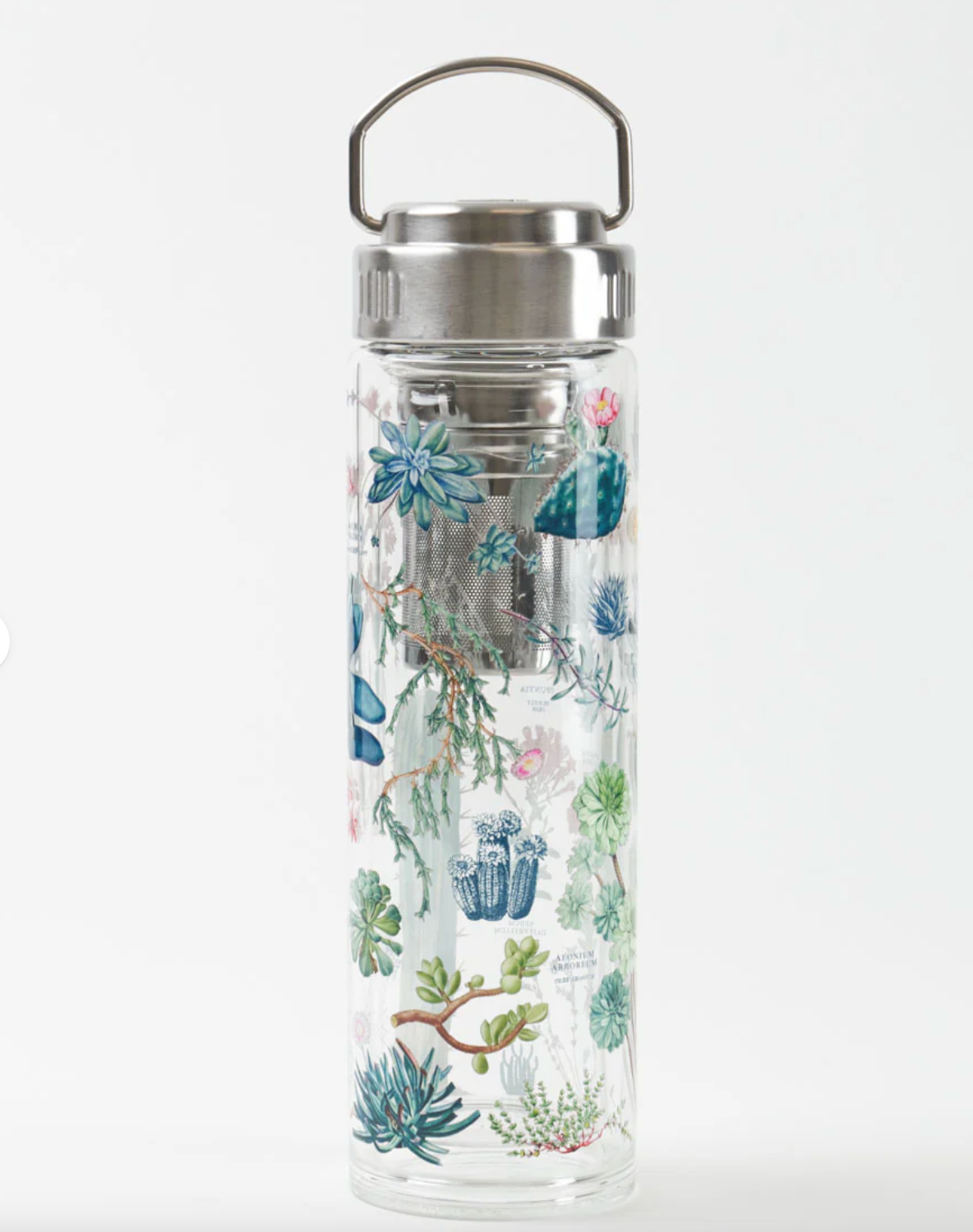 Succulents Glass Tea Infuser Flask