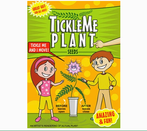 walk on me plant seeds Tickle me Plant Seed Packet – Weeds