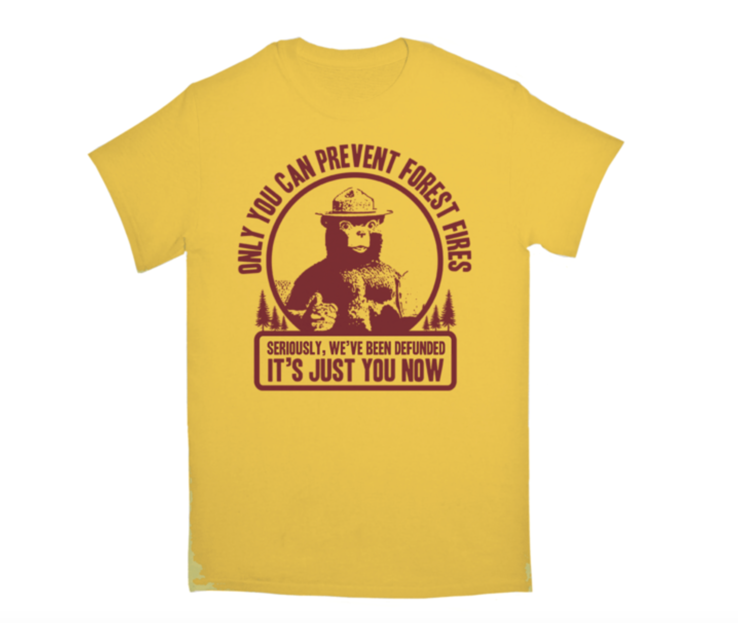 Smokey Bear National Parks