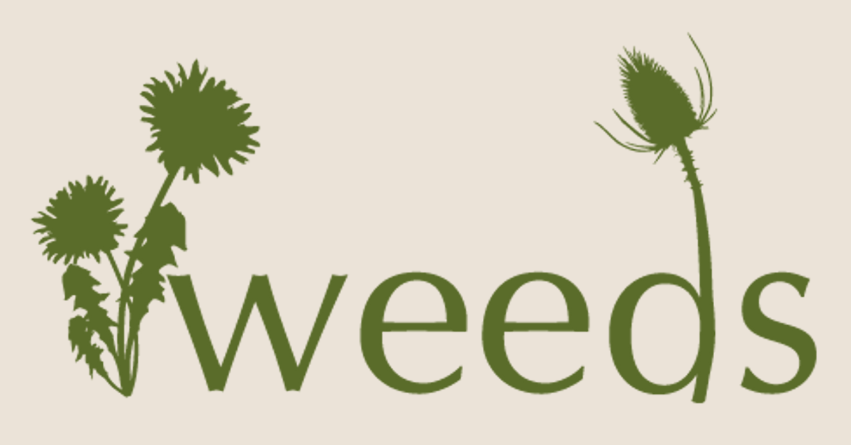 Socks That Support Music Gray Guitars Weeds