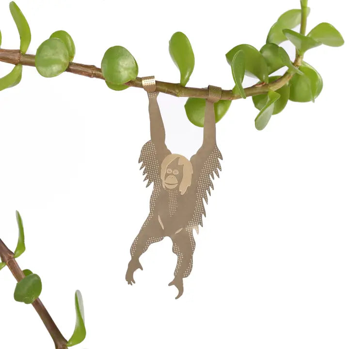 plant hanging animals Plant Decoration