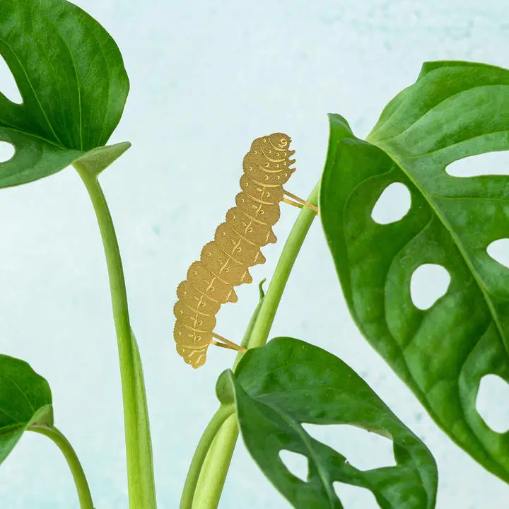 Plant Decoration Caterpillar
