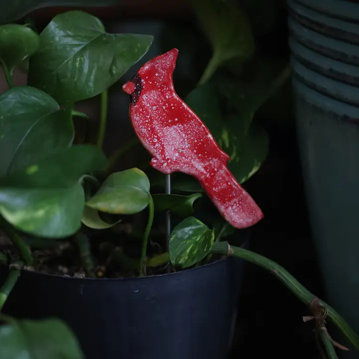 Plant Buddy - Cardinal