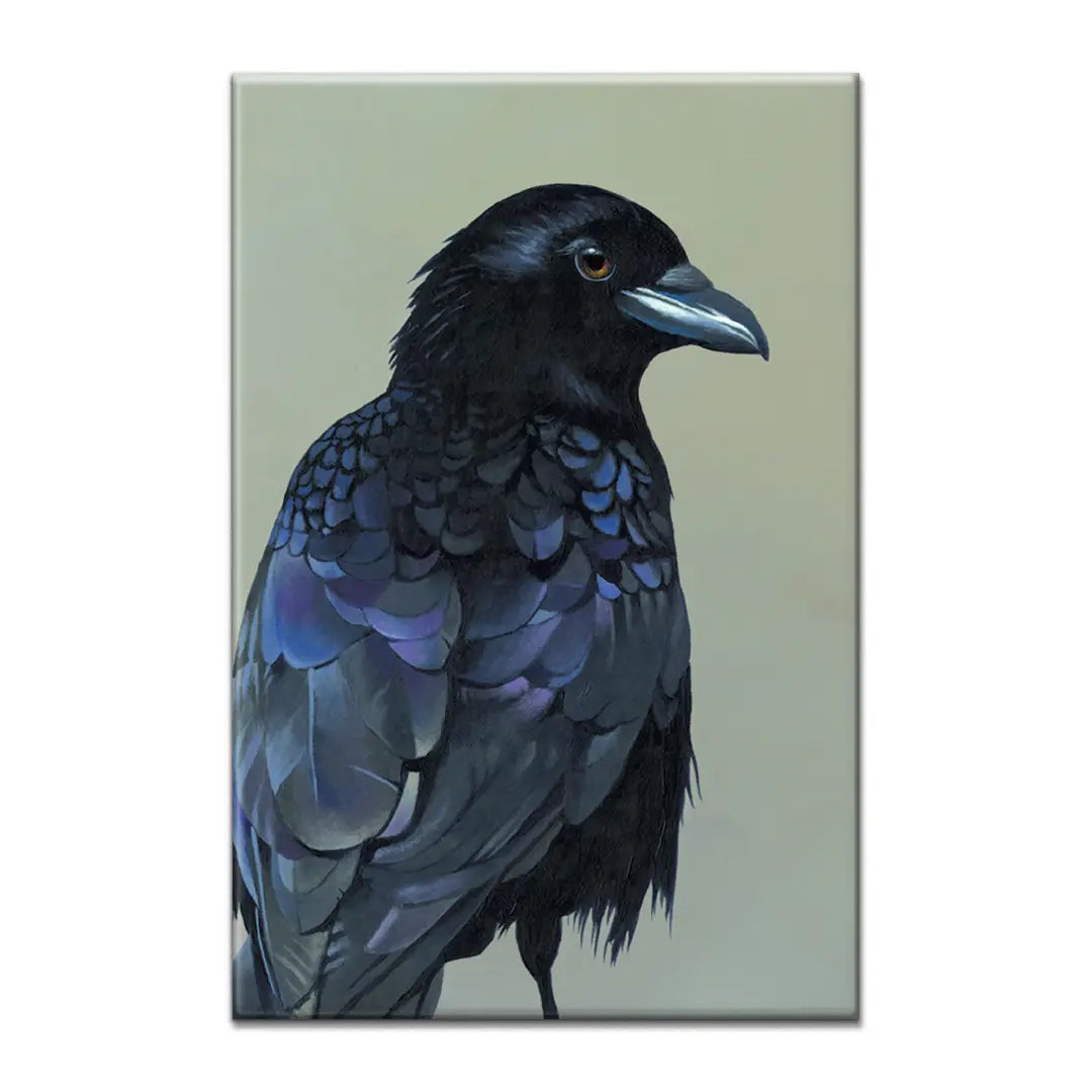 Crow Magnet