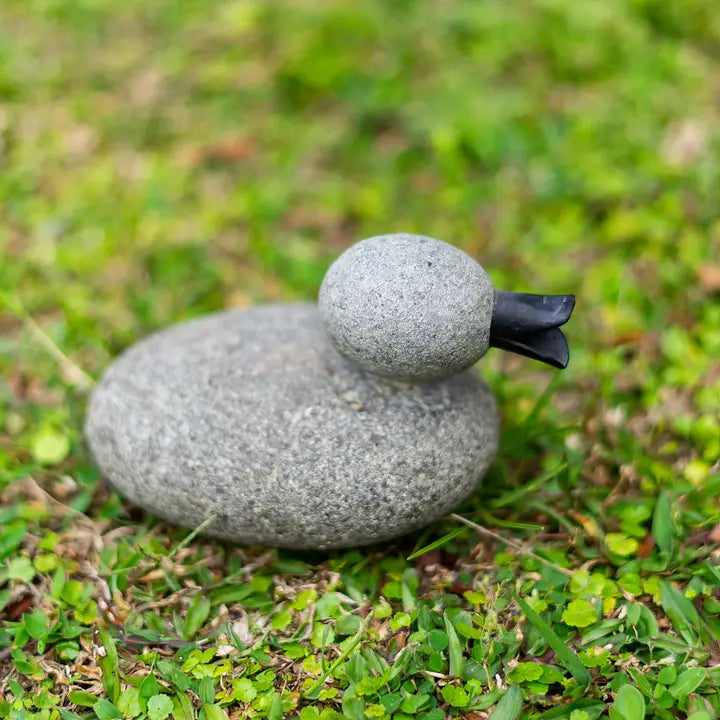 Pebble Duck
