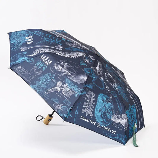 Skeleton Umbrella