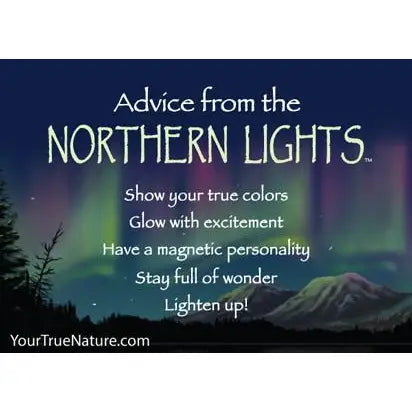 Magnet Advice from The Northern Lights