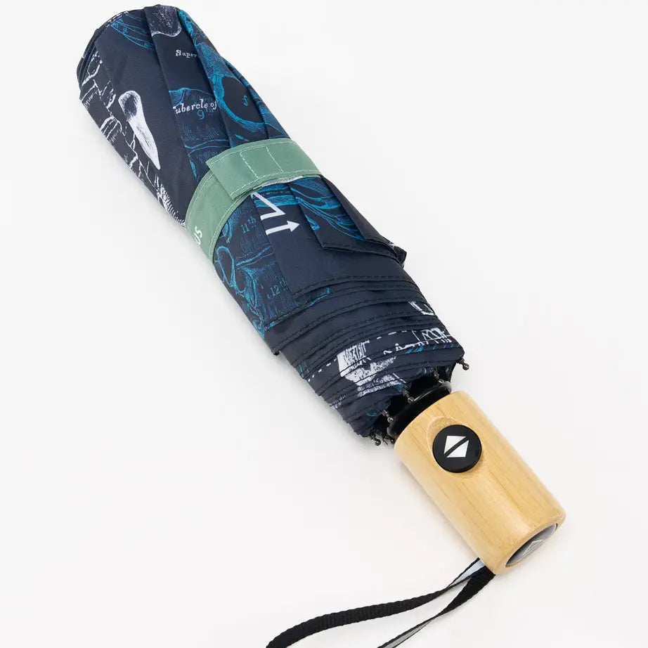 Skeleton Umbrella