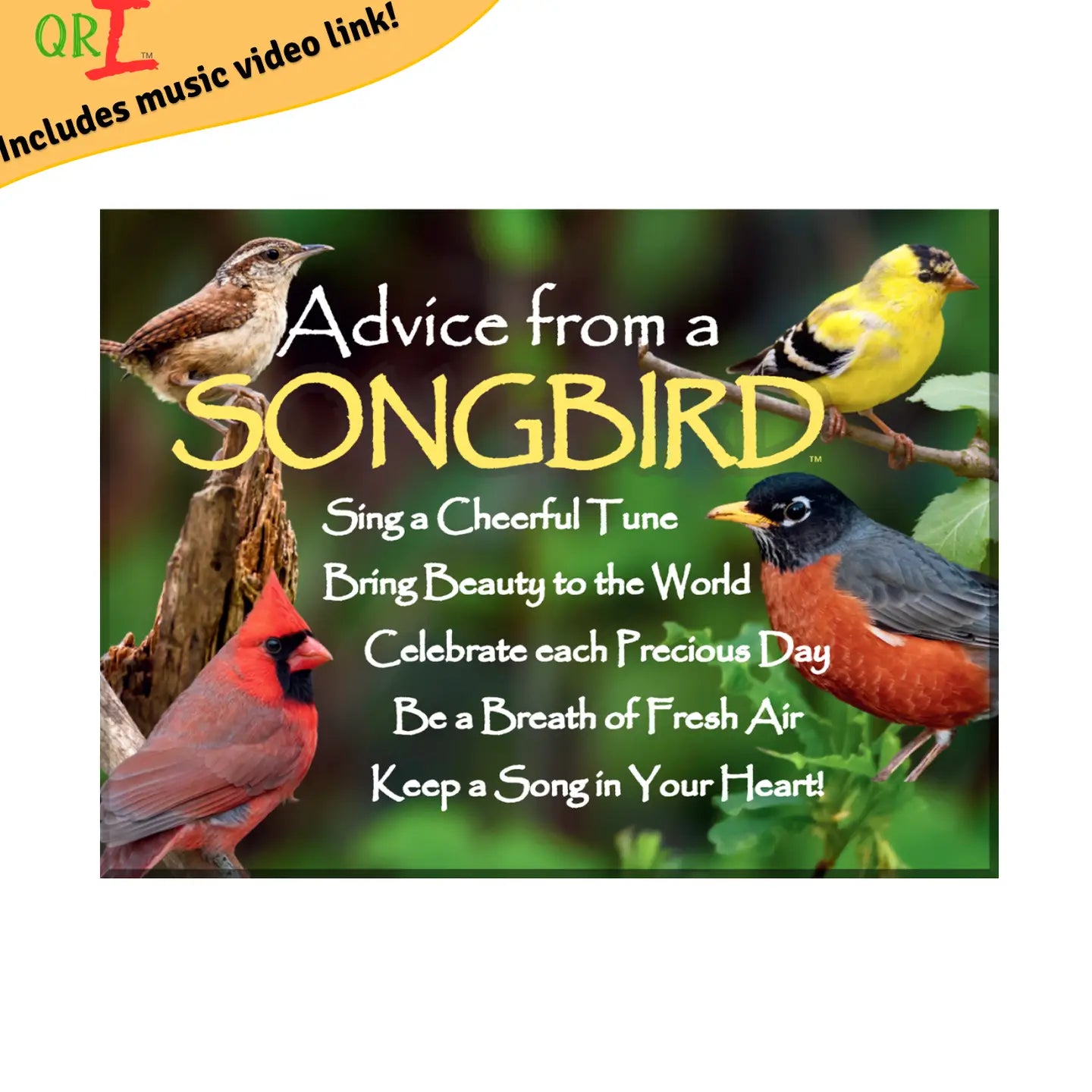 Magnet Advice from Songbird