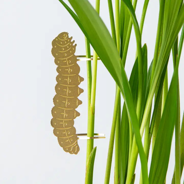 Plant Decoration Caterpillar