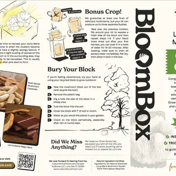 Mushroom Grow Kit Lions Mane