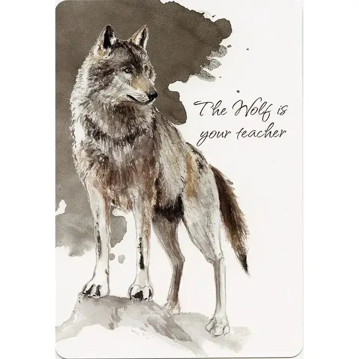 Power Animals Cards