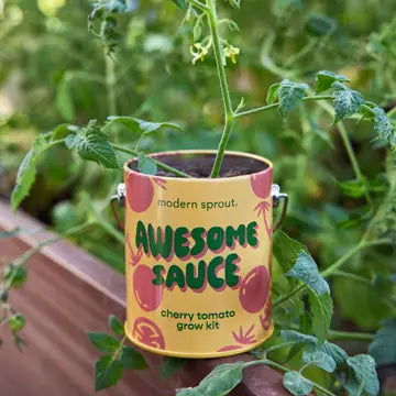 Color Grow Kit - Awesome Sauce Tomato